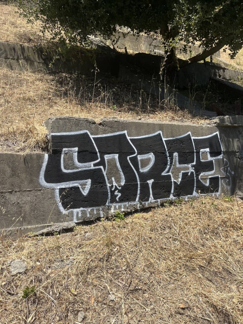 photo-of-sorce-on-concrete, Sorce – Bay Area graffiti artist reclaims space, Culture Currents photo-of-sorce-on-concrete, Sorce – Bay Area graffiti artist reclaims space, Culture Currents