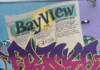 bayview-graffiti-of-the-san-francisco-bay-view-newspaper-photo-taken-by-javier-zarnowiecki-100x70, SF Bay View Front Page (New), 