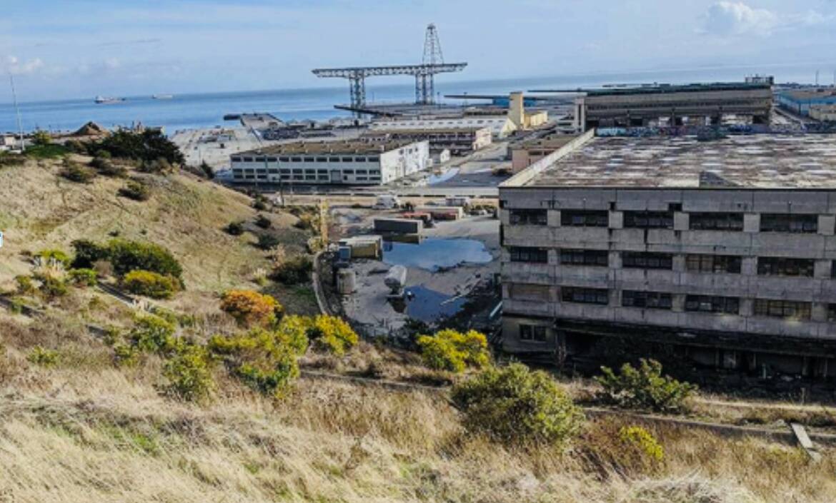view-of-hp-shipyard-from-western-fence-line-of-parcel-g-gantry-crane-3, Feds enact Superfund cleanup moratorium , Local News & Views 