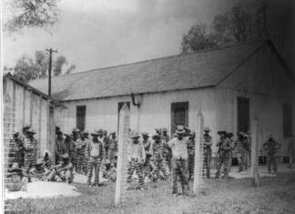 Many black men in stripped prison clothes, behind barbed wire fence.