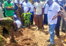 In the fight against desertification, Burkina Faso mobilizes to plant 5 million trees in one hour Man planting a tree as the community watched.