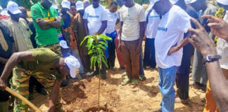 In the fight against desertification, Burkina Faso mobilizes to plant 5 million trees in one hour Man planting a tree as the community watched.