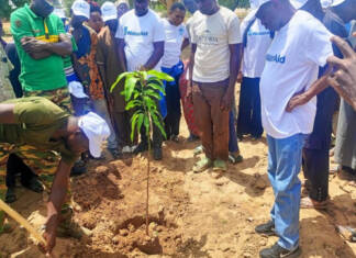 In the fight against desertification, Burkina Faso mobilizes to plant 5 million trees in one hour Man planting a tree as the community watched.