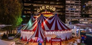 Circus Bella welcomes you to its Big Top Circus Tent with ‘STARLIGHT,’ an all-new winter circus spectacular!