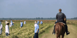 Black prisoners organize for dignity in Angola, Louisiana’s modern-day plantation