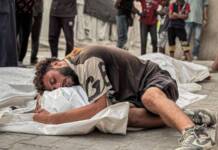 Forgive me, Gaza: Humanity has not learned from its sins