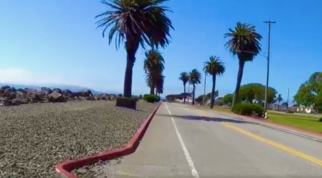 avenue-of-the-palms-on-treasure-island-looking-west-in-2016-before-redevelopment-of-the-island-began-by-carol-harvey, The truth behind Treasure Island’s tricky history, Local News & Views avenue-of-the-palms-on-treasure-island-looking-west-in-2016-before-redevelopment-of-the-island-began-by-carol-harvey, The truth behind Treasure Island’s tricky history, Local News & Views