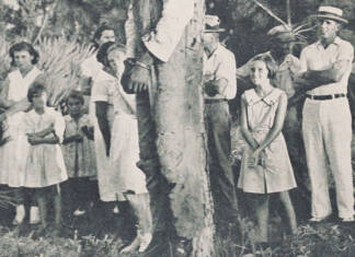American racism turns 250 years old and now the beast feeds itself
