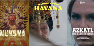 The 17th annual Fist Up Film Festival is around the corner: Oct. 1-4 at La Pena in Berkeley